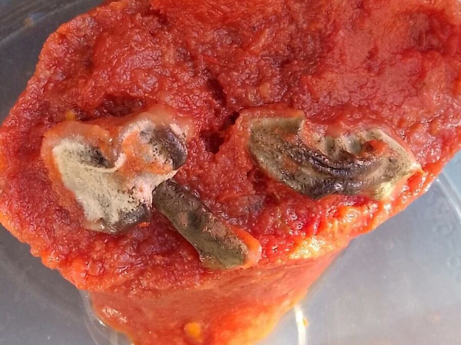Imagem copia_2055377640molho_de_tomate